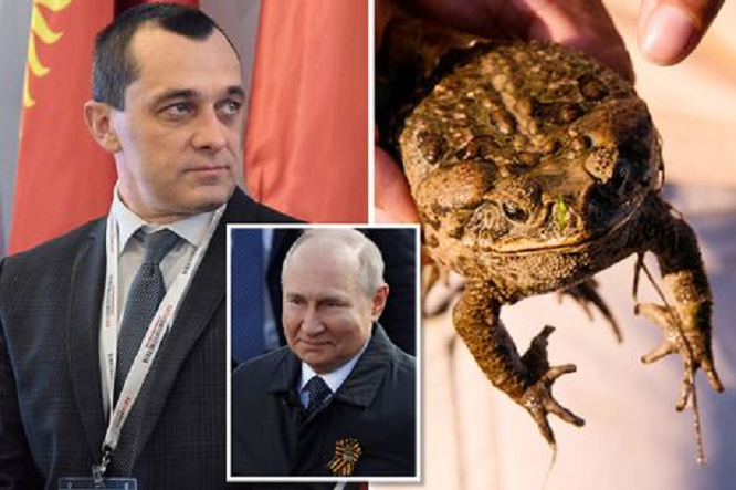 Another Putin ally dies in mysterious circumstances, this time after 'frog  poison treatment' (photos) – IMK – InfoMedia Kosova